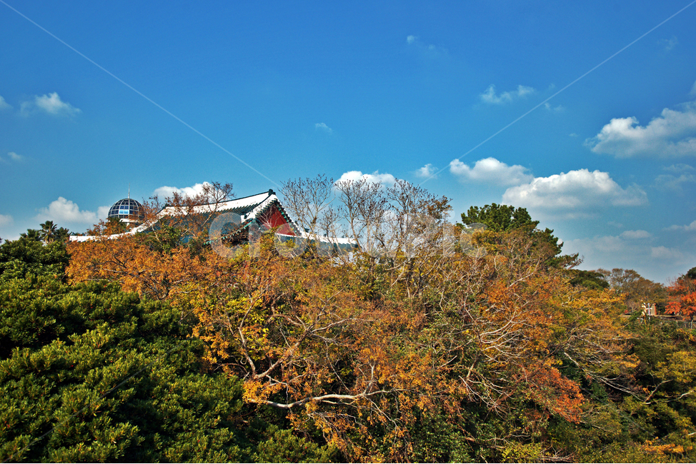 천제루,누각,천제연폭포,제주도,서귀포시,가을,계절,중문단지,가을,계절,fall,autumn,season,nature,자연,outdoors,옥외