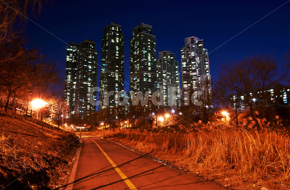 타워팰리스,주상복합아파트,도곡동,삼성타워팰리스,samsungtowerpalace,마천루,야경,양재천,야경,밤,풍경,nightscape,night,landscape,도시,city,한국도시풍경,한국도시경관,korea cityscape