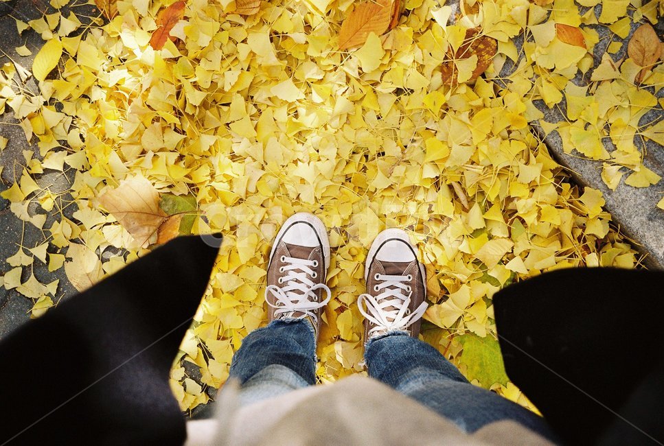 가을,풍경,자연,색감,낙엽,필름사진,감성,나무,가을,계절,fall,autumn,season,사람,인물,인간,human,person