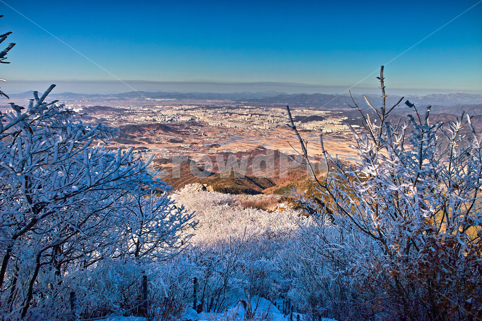 겨울,상고대,눈꽃,나무,겨울산,겨울,계절,winter,season
