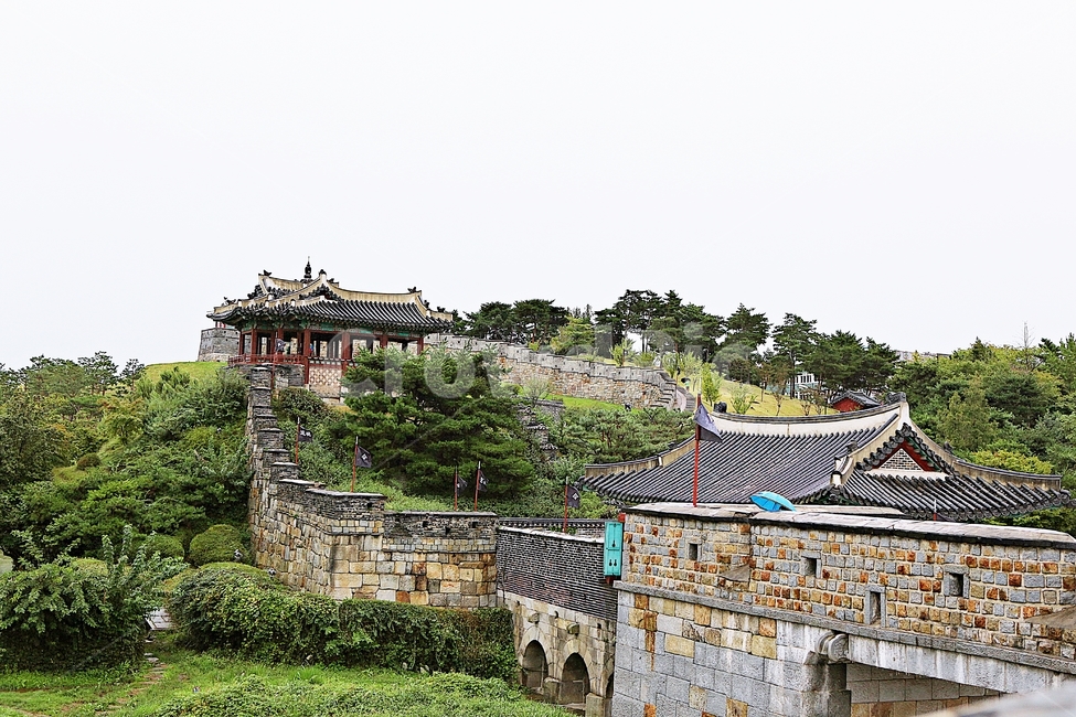수원화성,성,성곽,길,둘레길,돌담,가을,담,자연,풍경,벽,방어벽,식물,전통,한국전통,한국문화,korean traditional,korean culture