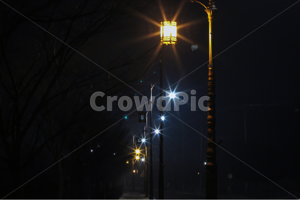 가로등,불빛,밤풍경,nightview,감성,감성사진,밤,전등,나무,야경,밤,풍경,nightscape,night,landscape,lamp post,램프 포스트