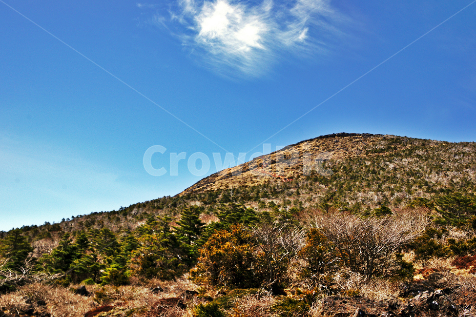 한라산,제주도,한라산국립공원,성판악코스,등산,푸른하늘