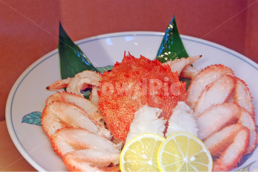 seafood,king crab,Specialties,hair crab,plate,ice,Hokkaido,food,institution,lemon,sea crab,snow crab,ingredients,animated,cooking,fresh,crab