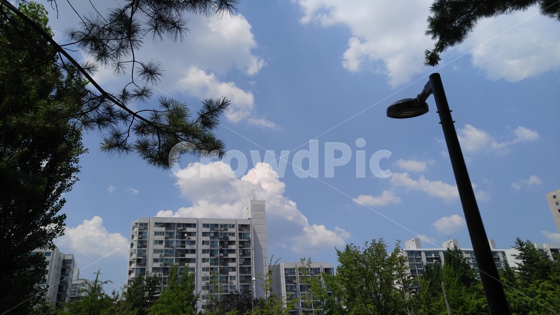 하늘,하늘색,구름,흰색,아파트,소나무,가로등,녹색,배경,sky,skyblue,cloud,white,apartment,pine,streetlight
