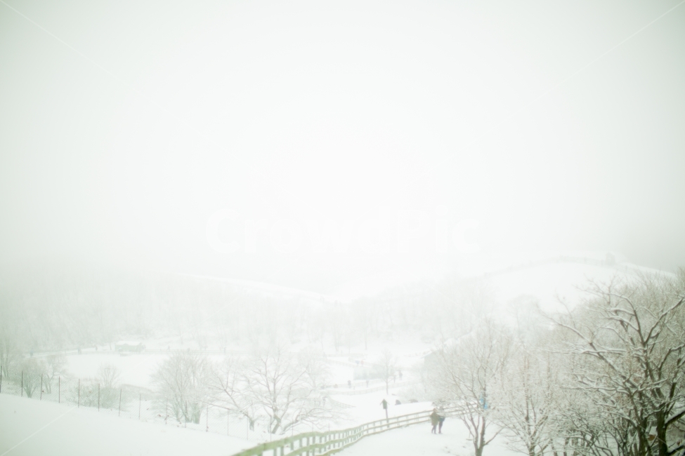 설경,눈,겨울,하얀색,눈꽃,하얀세상,화이트,snow,winter,white,snowflower,겨울풍경,대관령,겨울산,겨울,계절,winter,season,자연,풍경,nature,landscape,감성,sensible,feeling,outdoors,옥외