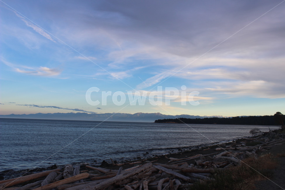 nature,자연,바다,sea,해변,풍경,캐나다,canada,자연,풍경,nature,landscape,wood,나무