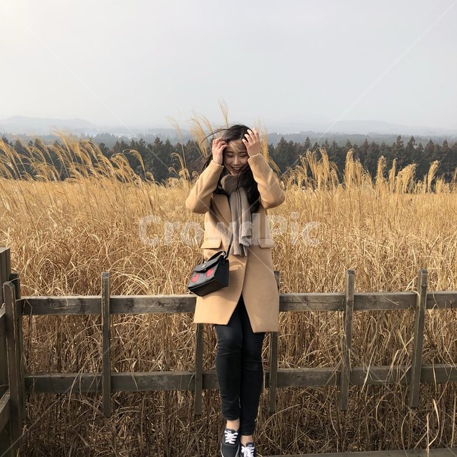 제주도,갈대,산굼부리,가을,풍경,여자,사람,인물,인간,human,person,여성,여자,woman,female,lady