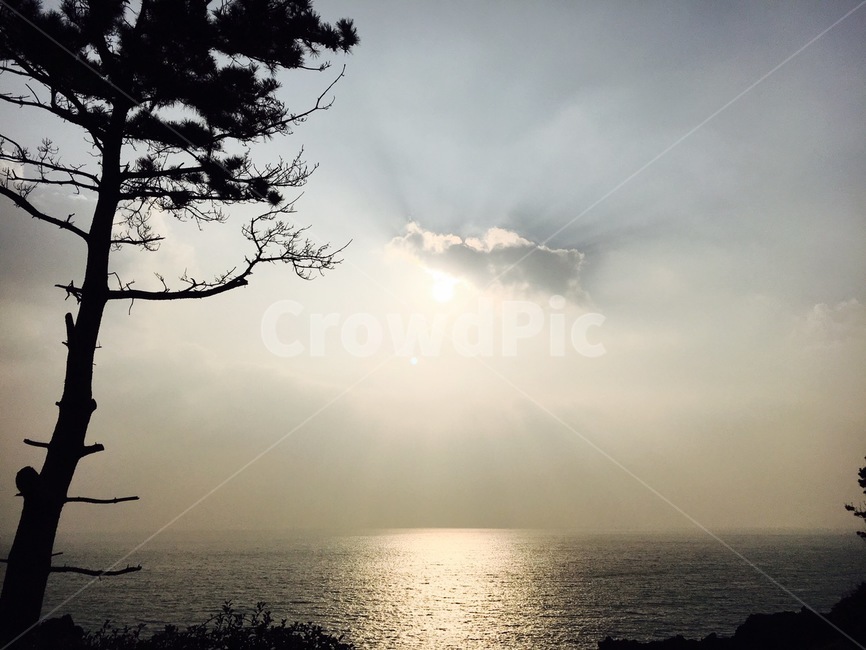 제주도,일출,일몰,바다,숲,자연