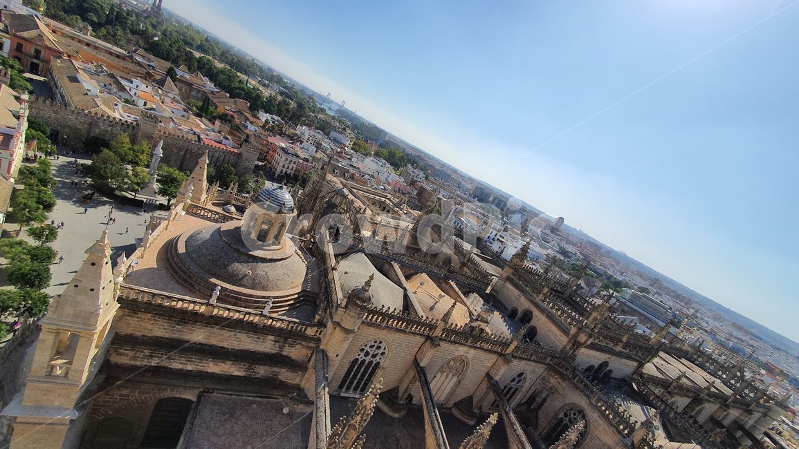 스페인,세비야,세빌리야,spain,sevilla,세비야대성당,성당,대성당,catholic,church,nature,자연,landscape,경치,풍경,scenery,옥외,outdoors,architecture,건축물,dome,둥근천장,building,건물
