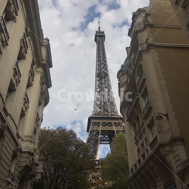 파리,paris,에펠탑,프랑스,배경