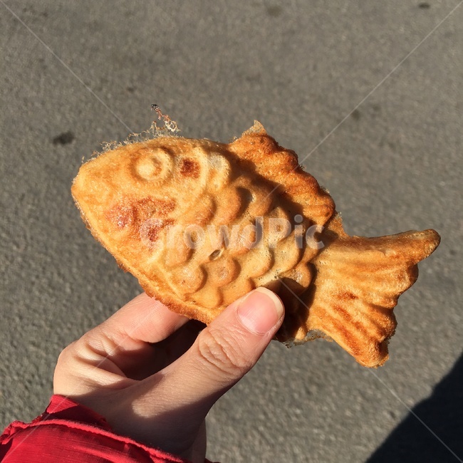 간식,붕어빵,겨울간식,음식,길거리음식,음식,식재료,요리,food,cook,meal,dishes,food reserves,빵,bread
