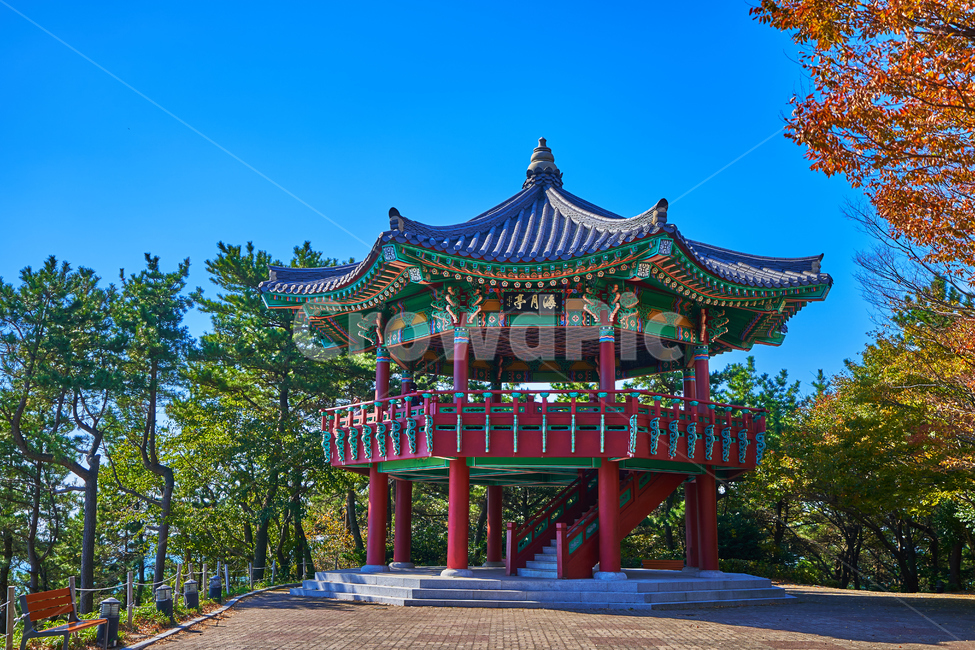부산,달맞이길,해운대,평온한,맑은,풍경,한국전통,한국문화,korean traditional,korean culture,건축물,건물외관,exterior,building,structure,architecture,construction