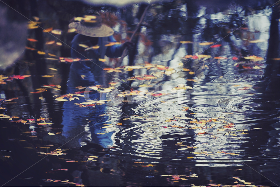 반영,낙엽,가을,가을풍경,Reflection,가을,계절,fall,autumn,season,감성,sensible,feeling,비,비오는날,rain,rainy,water,물,outdoors,옥외