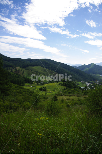 하늘,구름,산간,산,나무,식물,풍경,자연,풍경,nature,landscape,outdoors,옥외,hill,언덕