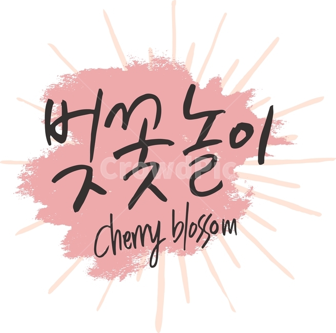 벚꽃놀이,벚꽃축제,일러스트,벡터,봄,캘리그라피,패턴,패키지,라인,텍스처,질감,다이어리,책표지,북커버,팝업,배너,계절,벚꽃,축제,꽃,캘리,번짐,잉크,캘리그라피,손글씨,calligraphy