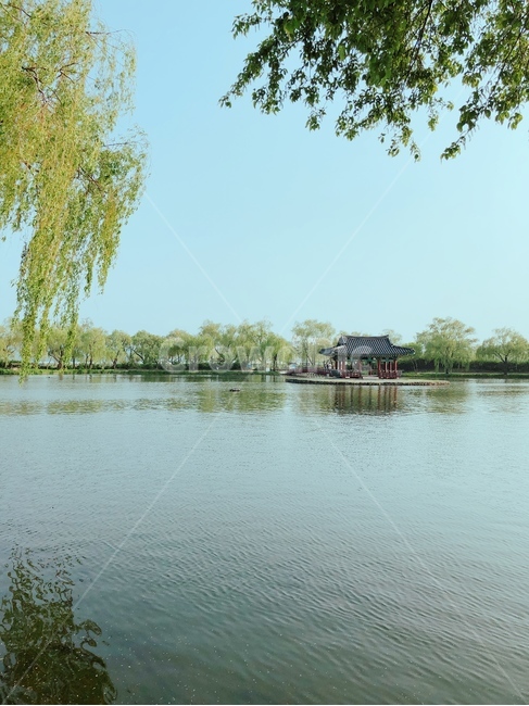 부여,궁남지,연못,공원,봄,자연,풍경,nature,landscape,한국자연풍경,한국자연경관,korea nature landscape,한국전통,한국문화,korean traditional,korean culture,랜드마크,landmark,tourist attraction,한국랜드마크,한국관광지,한국명소,korea landmark,korea tourist attraction,water,물,outdoors,옥외
