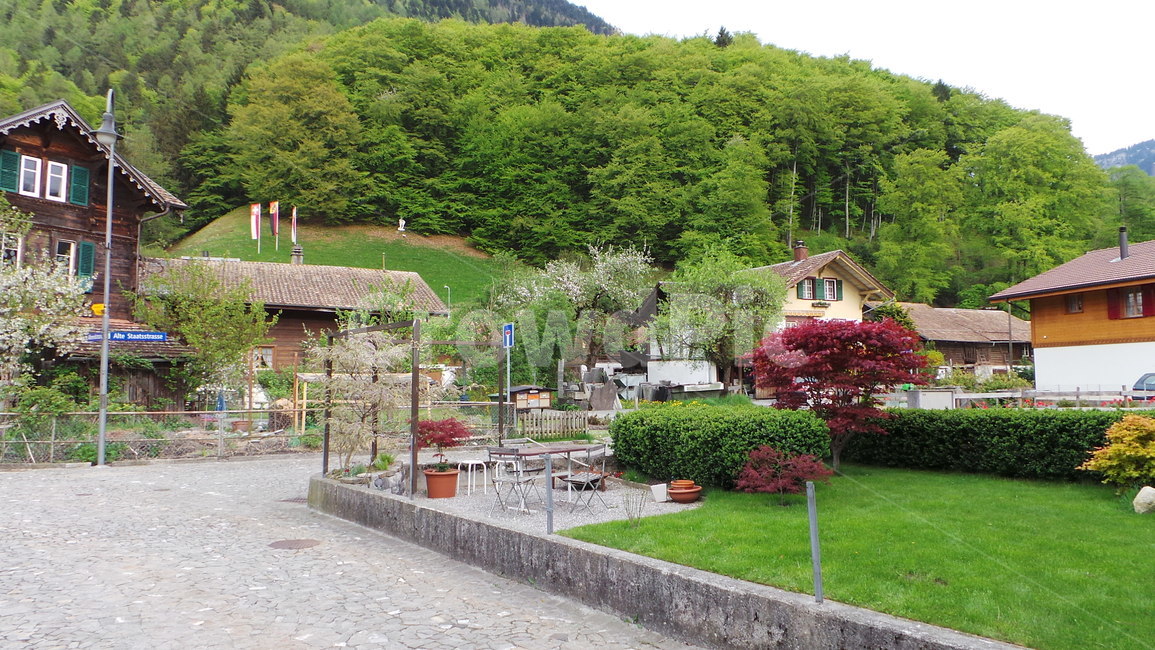 outdoors,옥외,switzerland,swiss,village,마을,스위스,europe,유럽,interlaken,인터라켄,wilderswil,nature,자연