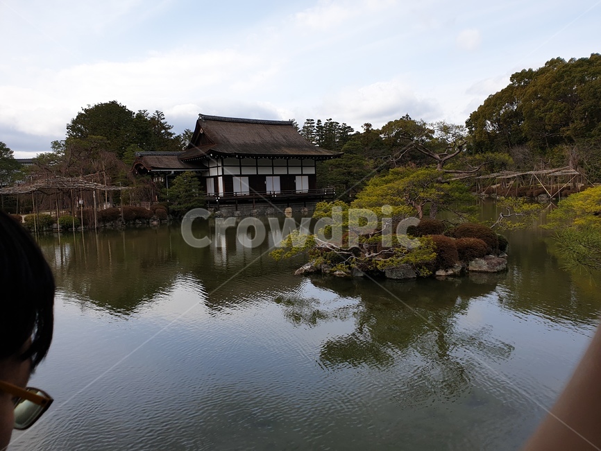 자연,일본,정원,nature,outdoors