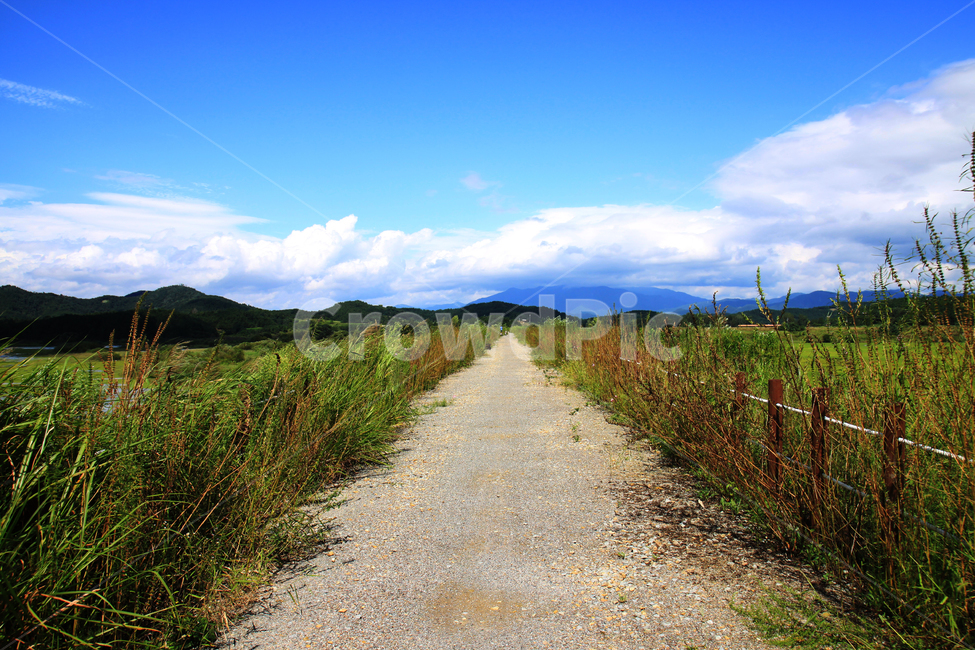 road,ground,흙길,구름,파란하늘,시작,출발,여행,우포늪,길