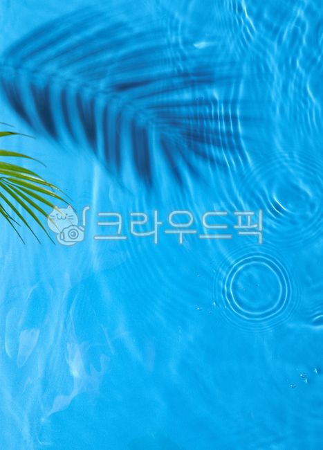 shadow,about,pattern,Shadow,summer,wave,aqua,palm tree,background image,vacation season,Beach,Marine,leaves,Ocean,stillness,Subtly,overlay,shape,surface,leaf,In the sea,water,tropical,subtle,calm,sunlight,blue,ocean,daylight,background,beach,direct sunlig