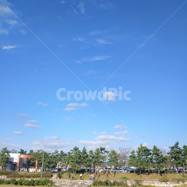 plant,식물,grass,잔디,nature,자연,outdoors,옥외,다대포,공원