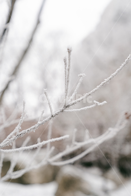 nature,자연,눈,snow,ice,outdoors,산,등산,상고대