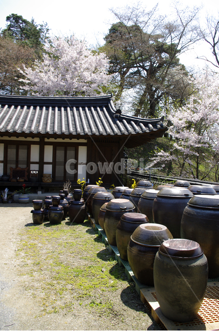 전통가옥,한옥,한국,건축,기와지붕,전통,한국전통,한국문화,korean traditional,korean culture,건축물,건물외관,exterior,building,structure,architecture,construction