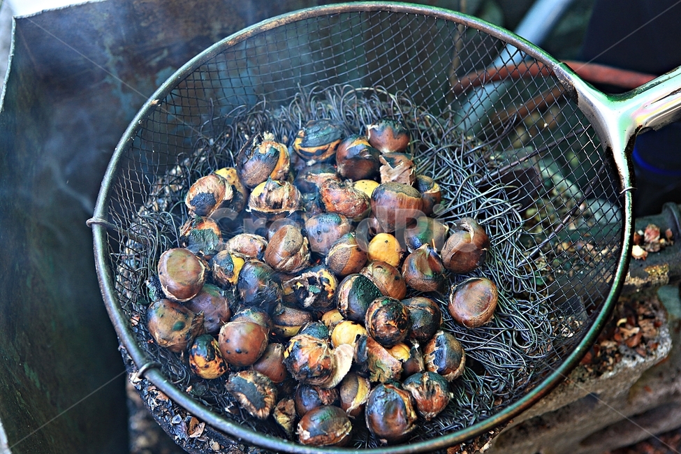 군밤,밤,망,연탄불,먹거리,음식,음식,식재료,요리,food,cook,meal,dishes,food reserves,콩류,견과류,beans,pulse,nuts,dry fruits