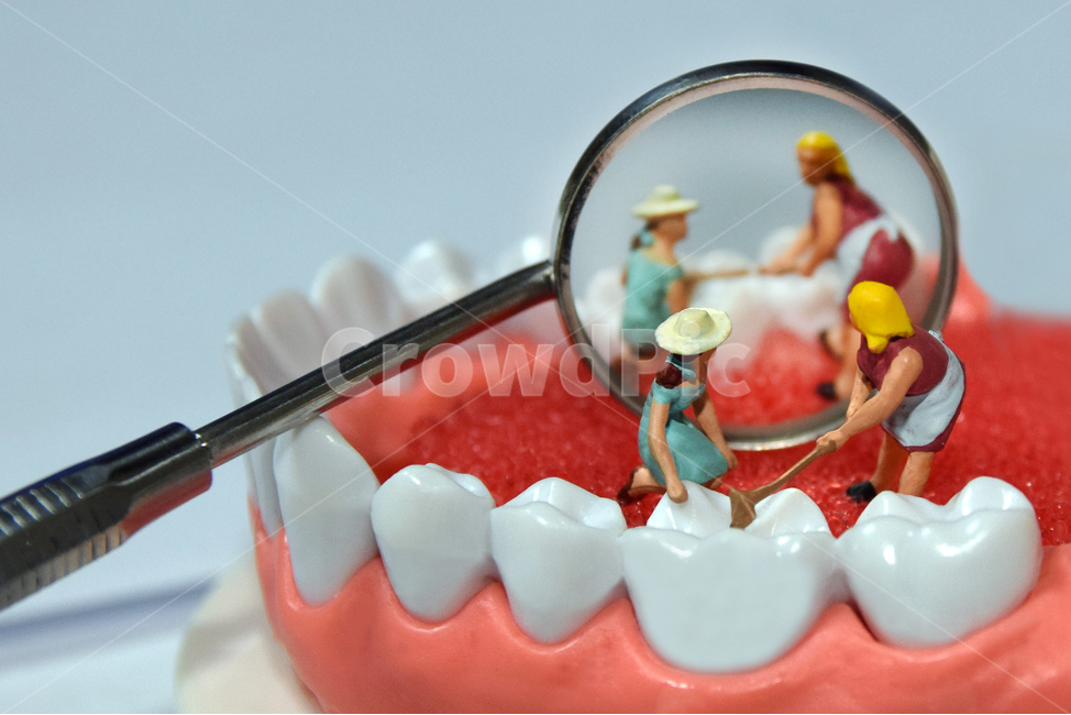 미니어처,치과,치아관리,치아교정,치석제거,구강관리,치아미백,썩은이,이빨,충치,이닦기,어금니,양치,의료,의학,병원,medical,hospital,clinic,연출,컨셉,콘셉,direction,concept