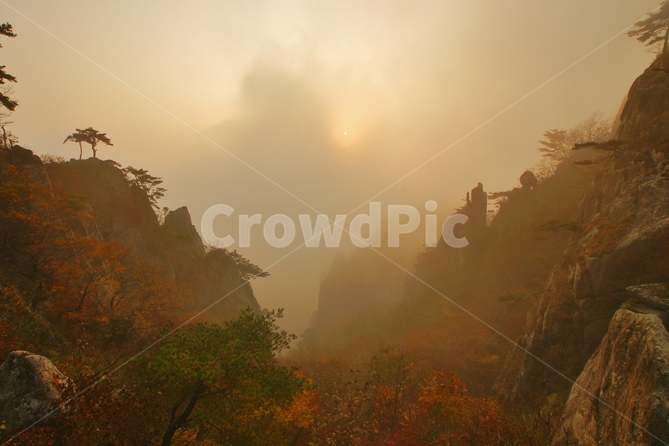대둔산,브이계곡,가을,일출,단풍,운해,가을,계절,fall,autumn,season,자연,풍경,nature,landscape,weather,날씨,outdoors,옥외