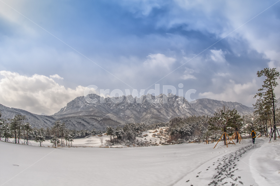 설악산,울산바위,골프장,델피노cc,설경,흰눈,겨울,계절,winter,season,자연,풍경,nature,landscape