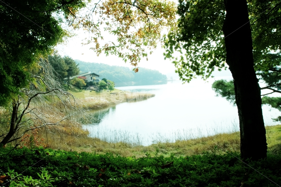 호수가,나무그늘,신선한느낌,맑은물,water,물,nature,자연,식물,tree,나무