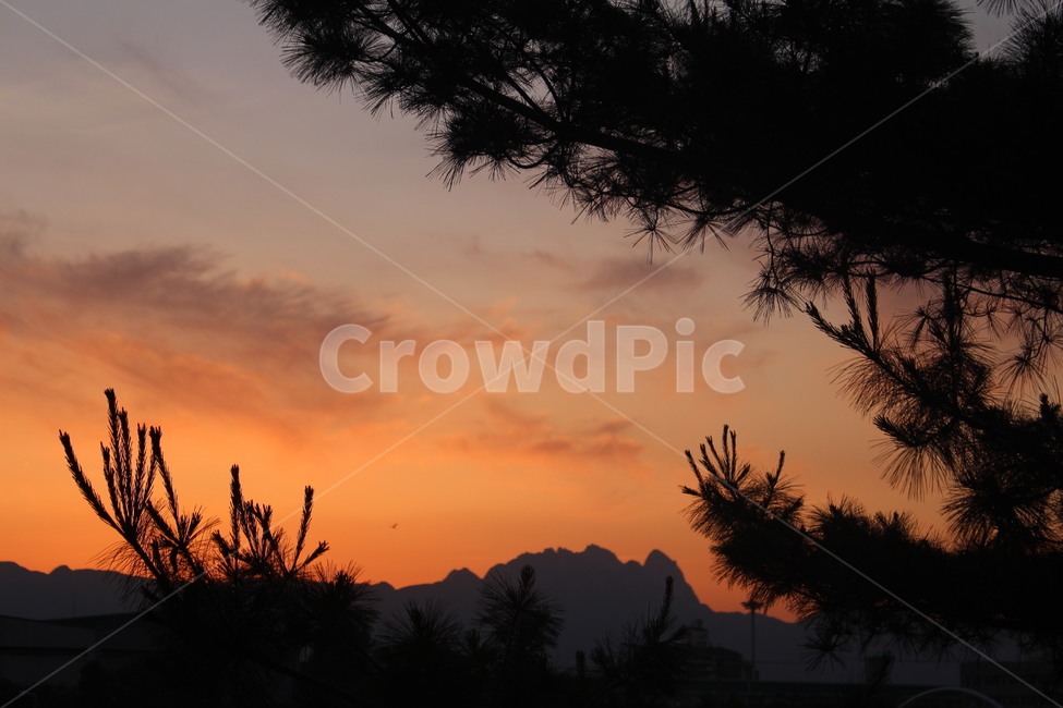 중랑천,노을,일몰,백운대,소나무,휴식,휴일,산책,자연,풍경,nature,landscape,한국자연풍경,한국자연경관,korea nature landscape,outdoors,옥외,dusk,황혼,dawn,새벽,sunset,red sky,붉은 하늘,sky,하늘