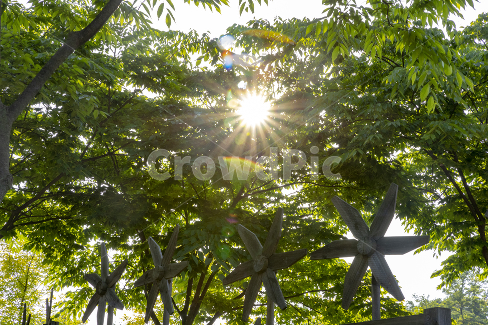 자연,구조물,바람개비,태양,햇살,수목원,숲,나무,플래어,식물,자연,plants,nature,나무,trees,wood,휴식,힐링,rest,relaxation,healing