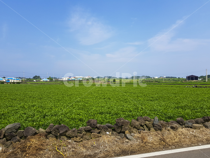 road,도로,dirtroad,흙길,gravel,자갈