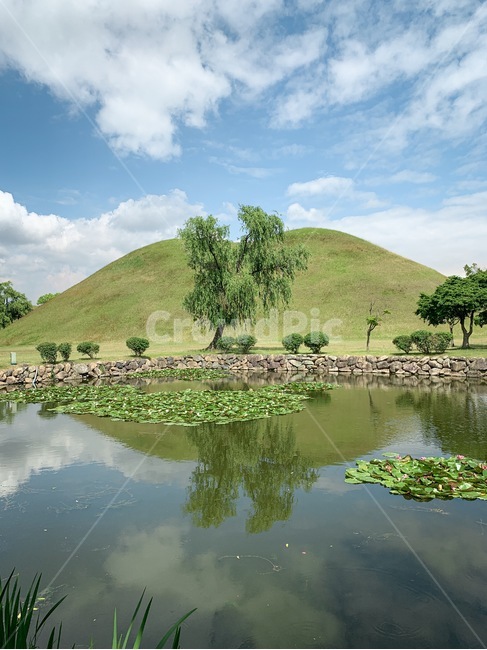 경주,세계문화유산,대릉원,연못,파란하늘,한국자연풍경,nature,자연,풍경,nature,landscape,한국자연풍경,한국자연경관,korea nature landscape,한국전통,한국문화,korean traditional,korean culture,랜드마크,landmark,tourist attraction,한국랜드마크,한국관광지,한국명소,korea landmark,korea tourist attraction,grassland,목초지,outdoors,옥외,field,들,water,물