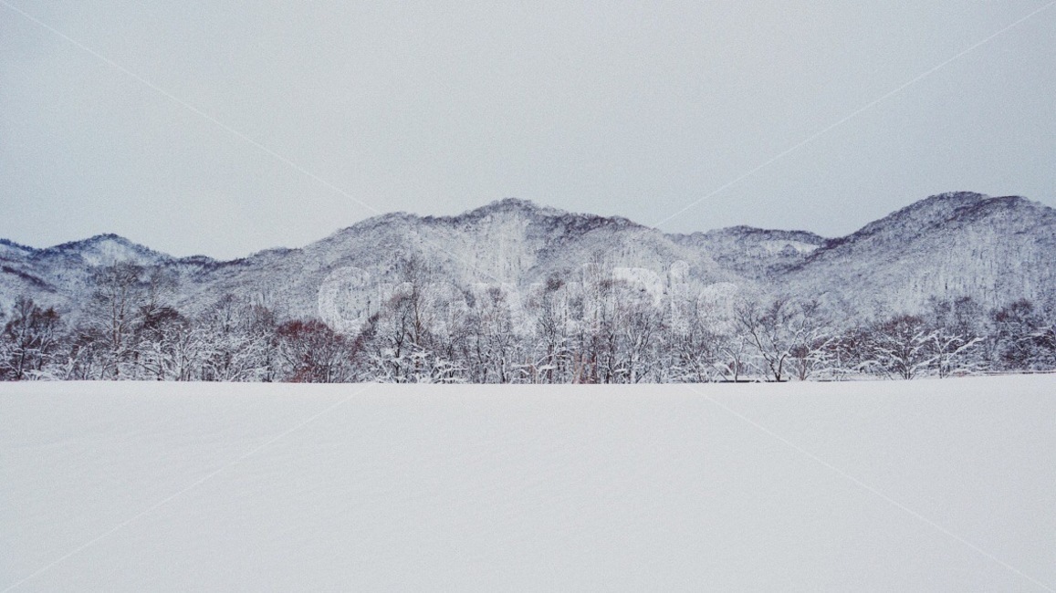 삿포로,눈,snow,sapporo,눈꽃,흰색,white,겨울,계절,winter,season,자연,풍경,nature,landscape,storm,폭풍,outdoors,옥외,blizzard,눈보라