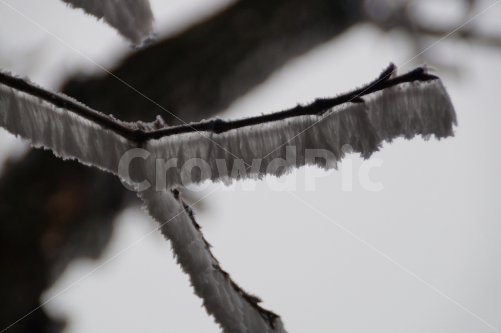 겨울,겨울산,눈꽃,눈꽃나무,북한산,겨울,계절,winter,season,식물,자연,plants,nature