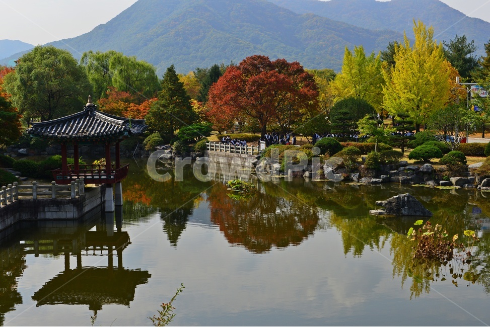 대전,국립대전현충원,현충원,현충지,연못,nature,자연,outdoors,옥외,leaf,잎,plant,식물,person,사람,human,인간,tree,나무,소풍,가을,계절,추색,추경,경치,경관,풍경,water,물,정자,현충지반영