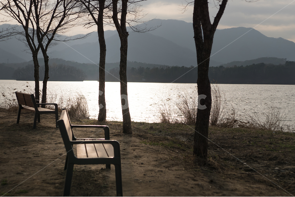 의자,외로움,쓸쓸함,해질녘,강,혼자,벤치,나무,산,휴식,힐링,자연,풍경,nature,landscape,식물,plants,나무,trees,wood,휴식,힐링,rest,relaxation,healing,chair,plant,tree