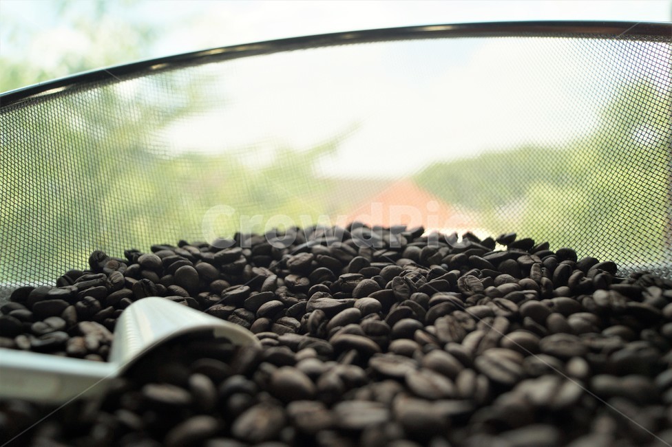 원두,커피,로스팅,근접샷,coffeebean,coffee,bean,아웃포커싱,roasting,커피,카페,coffee,cafe