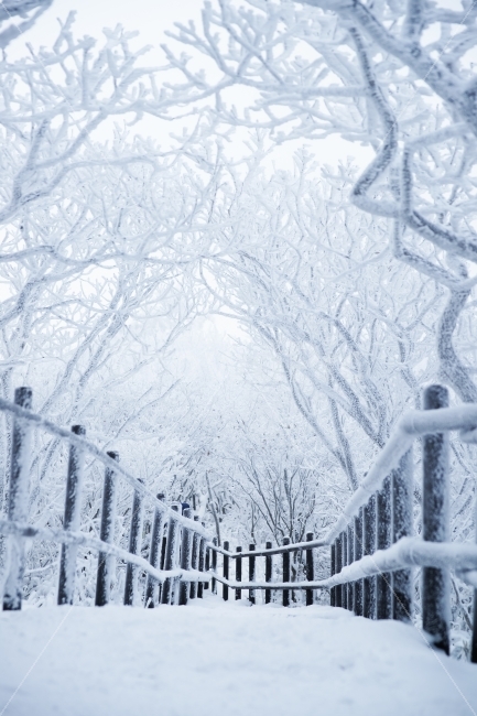 natural scenery,line of vision,Snow Flower,Muju,commercial high school,Deogyusan Mountain