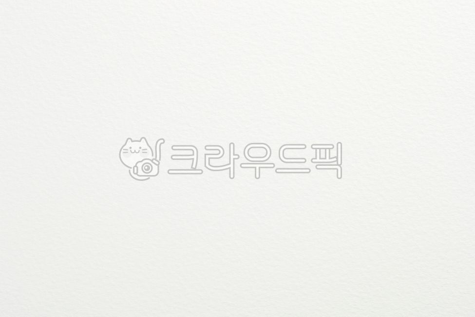 paper texture,rough,pattern,white background,simple,irregular,sketchbook,white paper,paper,white,crumpled,design,advertisement,neat,plaid,floor,regular,canvas,surface,edit,texture,abstract,Sketchbook Texture,plaster wall,popup,White,background,drawing boo