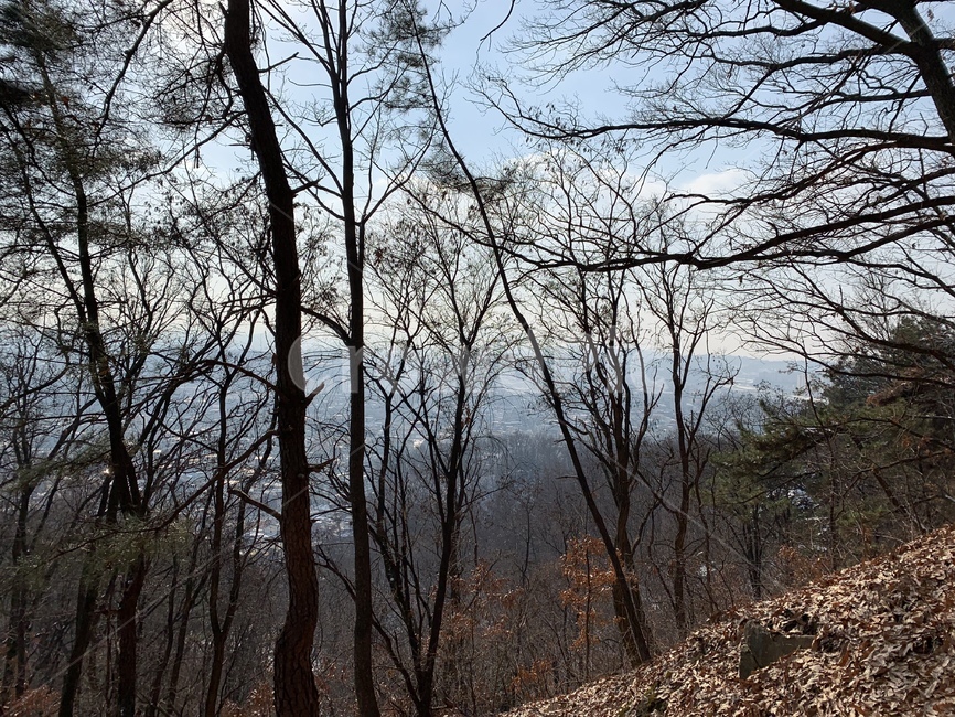 산,나무,하늘,풍경,정상,산정상