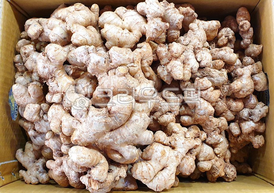 underground plants,root vegetables,ginger,fresh ginger