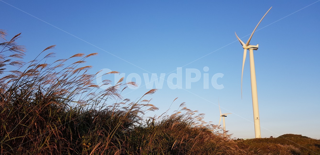 산,풍력발전소,활성산,가을,억새,산정상,하늘,자연,정상,풍력발전기,nature,에너지산업,풍차,fall,autumn,산업,industry,industrial,에너지산업,energy industry,plant,식물,grass,잔디,lawn