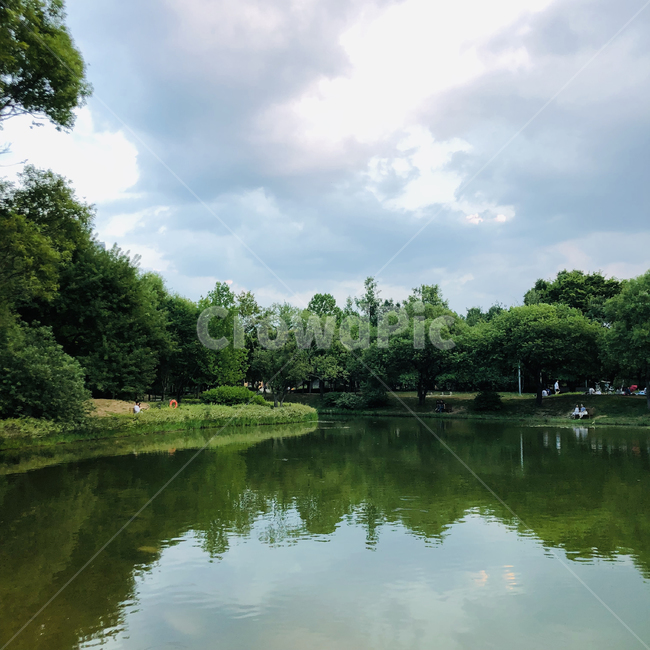 water,nature,자연,pond,못,outdoors,옥외
