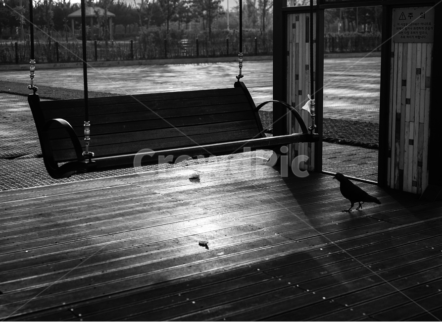 공원,쉼터,그네,갈매기,조류,새,공원시설,동물,animal,조류,새,birds,흑백,모노톤,monochrome,black and white