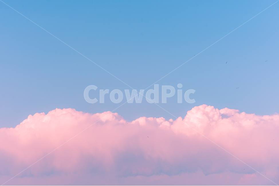 구름,하늘,핑크,분홍,cloud,sky